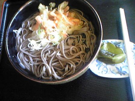 野菜天そば