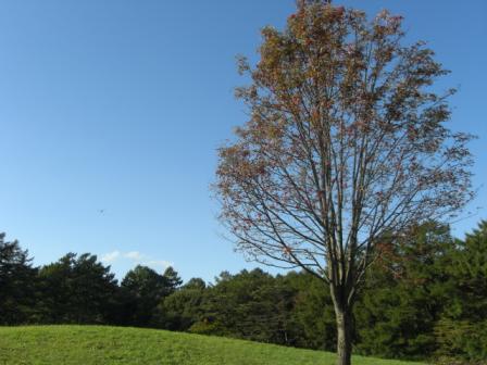 県立大学にて