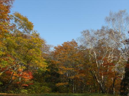 CIMG0730.JPG