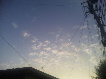 100809_181217.jpg