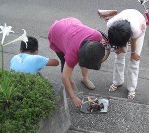 迎え火1