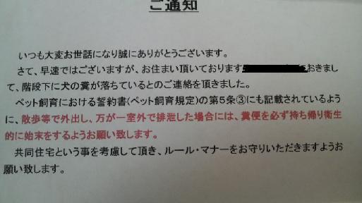 2008031210140001.jpg
