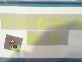 ようちゅう