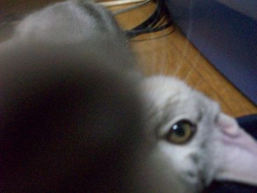 返してーっ!!((ヾ(≧皿≦メ)ノ))