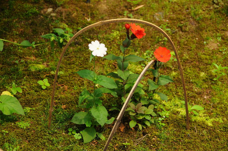 pict0036.jpg