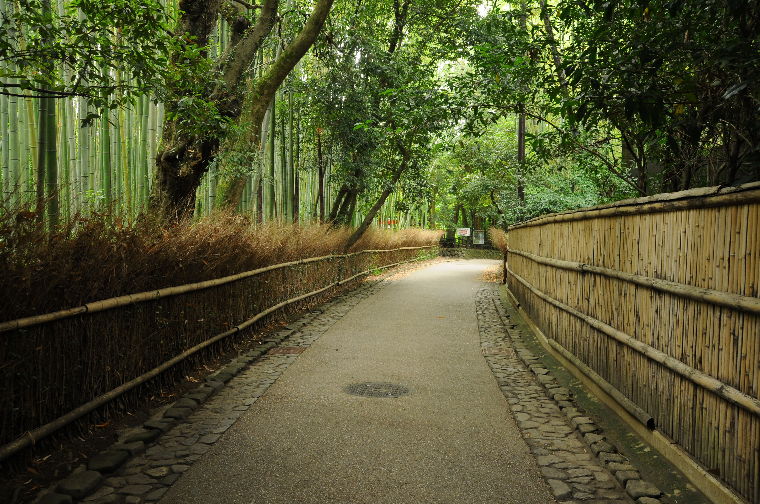 pict0022.jpg