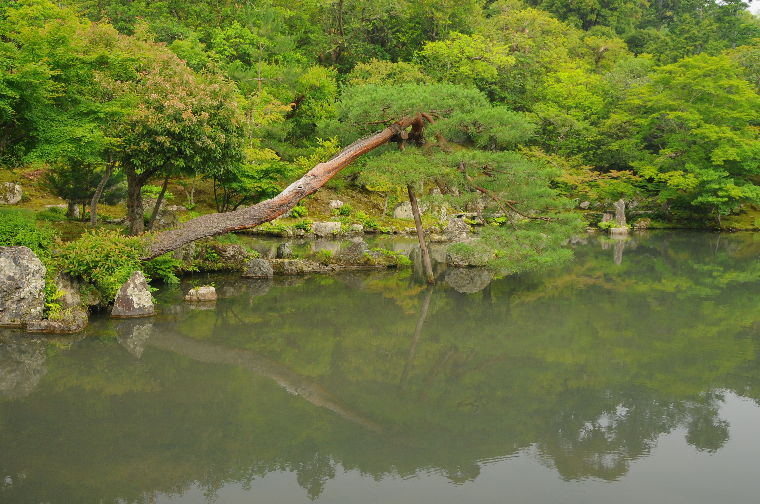 pict0029.jpg