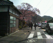 P1000005.JPG