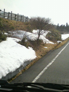 P1000004.JPG