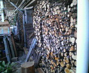 p1000008.JPG
