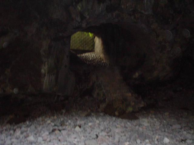 DSC01284.JPG