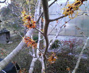 P1000009.JPG