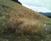 P1000001.JPG