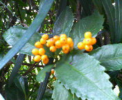 P1000003.JPG