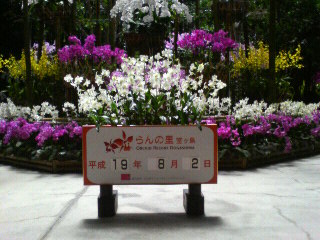 ランの里日付有り