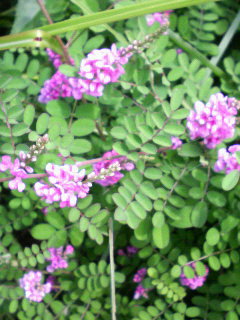 P1000010.JPG