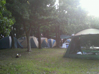 P1000026.JPG