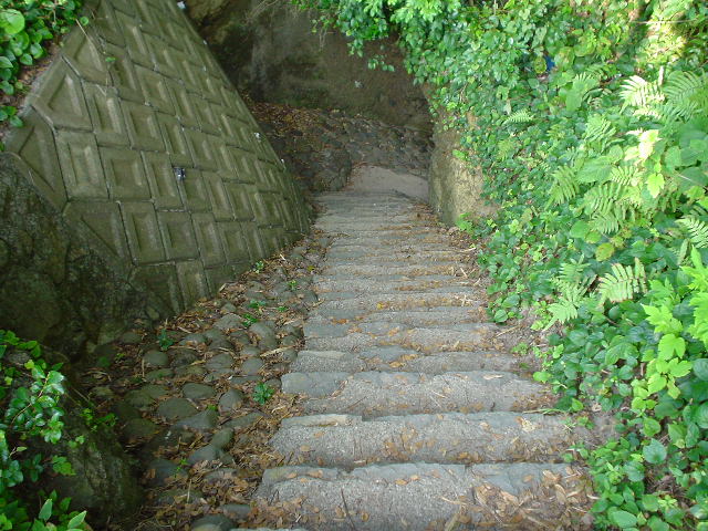 DSC01271.JPG
