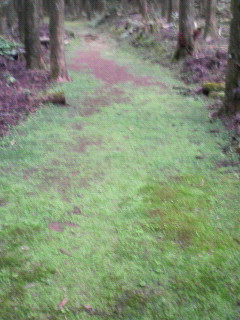 P1000011.JPG