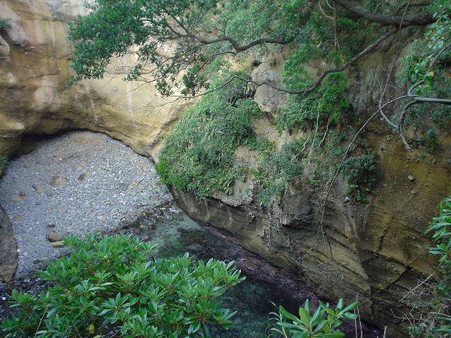 DSC01277.JPG