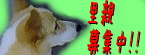 cbn