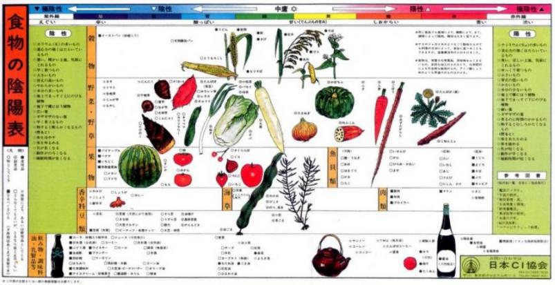 食物の陰陽表.jpg