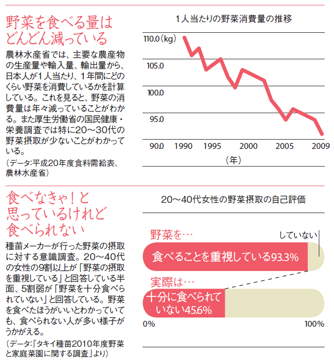 野菜たっぷり２.jpg