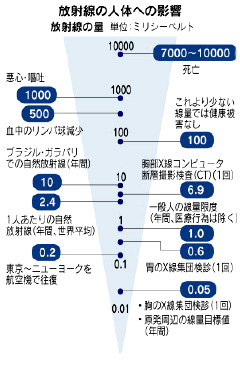 放射線の人体への影響.jpg