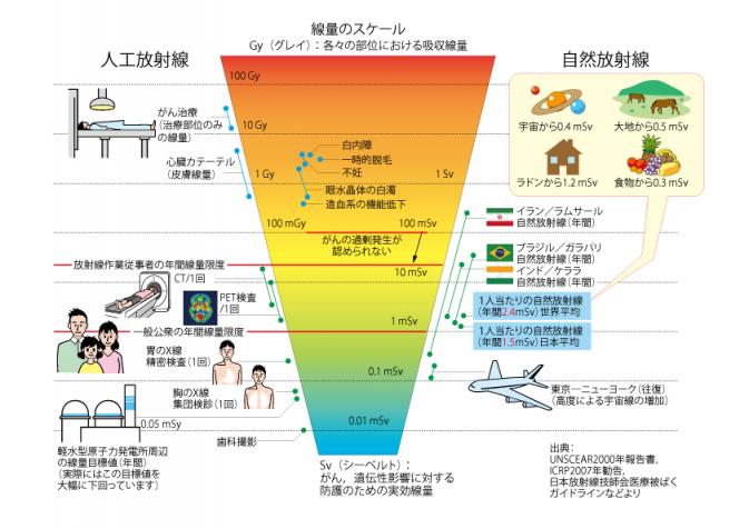 放射線量のスケール.jpg