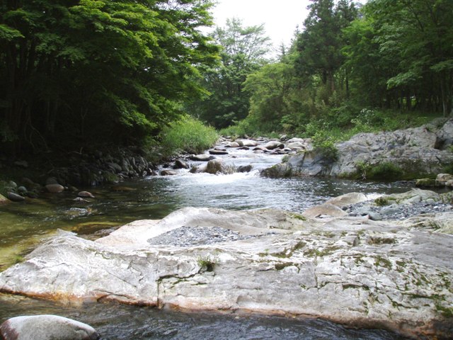 岩手県釣り紀行その１、気仙川 | わたしのつれづれ日記 - 楽天ブログ