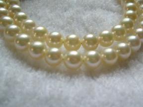 レポ☆真珠趣味さん あこや真珠ナチュラルゴールドピアス＆ネックレス | ☆いぬっくの日常☆ - 楽天ブログ