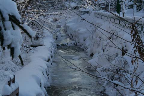 ２００８年年末旅行・札幌市内の凍結した川（２００８年１２月２７日）
