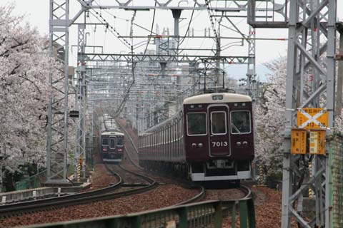 阪急・岡本駅付近の桜