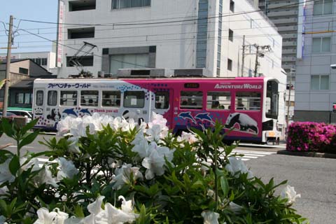 阪堺・阪堺線・大小路（２００９年４月２６日）