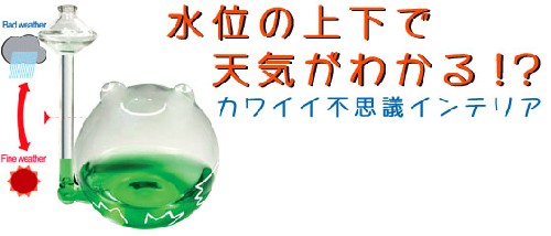 「ワールドビジネスサテライト」の「トレンドたまご」で紹介された！水位の上下で天気がわかる！？カワイイ不思議インテリア 「フロッグウェザー