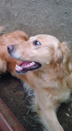 20080721060759.jpg