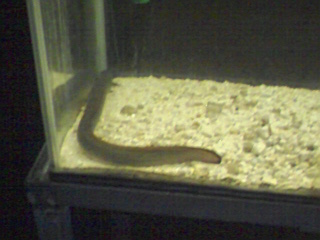 PA0_0111.JPG