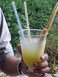 PA0_0112.JPG