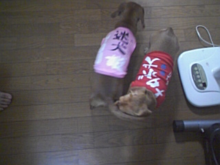 PA0_0127.JPG