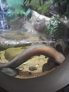 PA0_0073.JPG