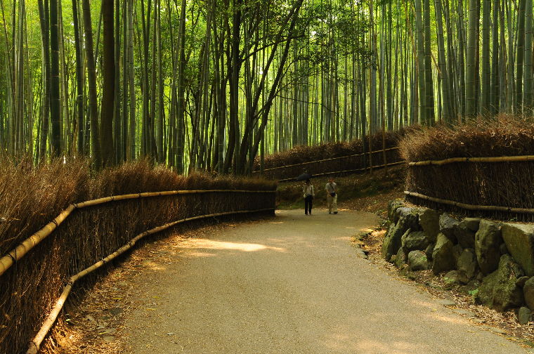pict0039.jpg