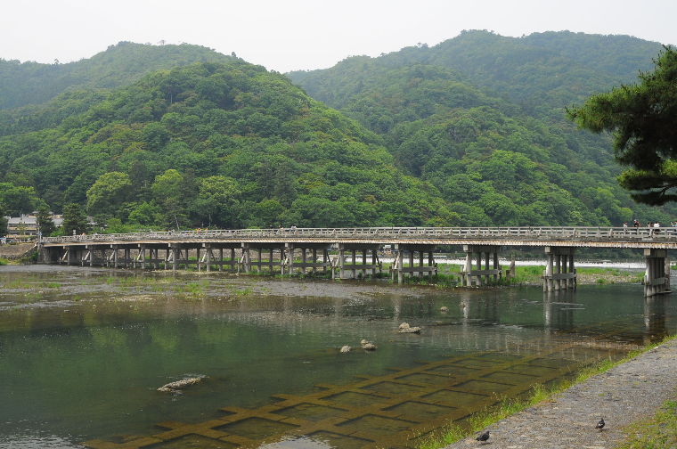 pict0051.jpg