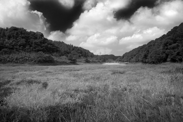 モノクロで撮る風景 カメラ始めました 楽天ブログ