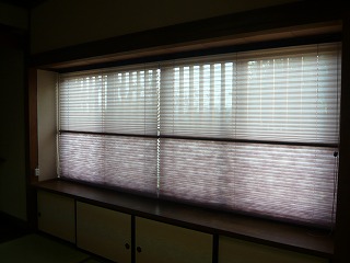 P1100010.jpg