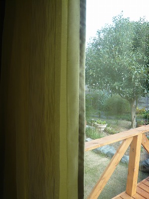 P1100013.jpg