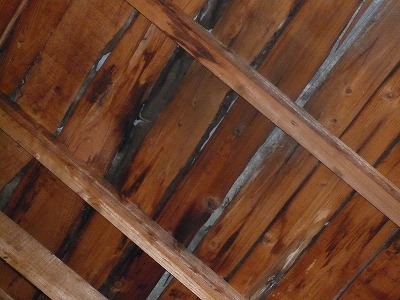 P1080993.jpg