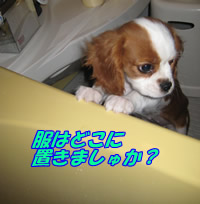入る準備.jpg