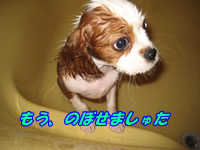お風呂2.jpg