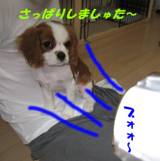 ドライヤー2.jpg