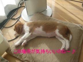 お気に入りの場所3